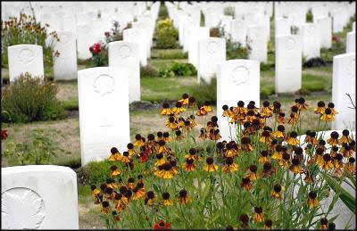 Mark Lucas Photo of canadian graves at Brookwood Military Cemetery